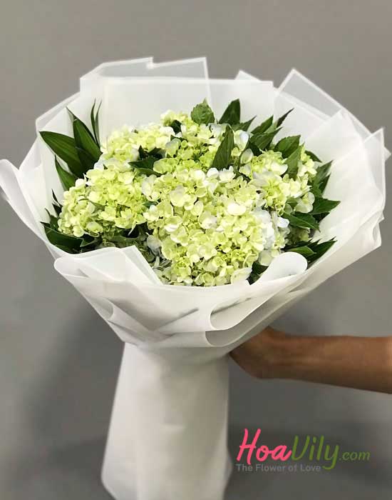 Bó hoa cẩm tú cầu - Loài hoa em yêu thích - Hoavily