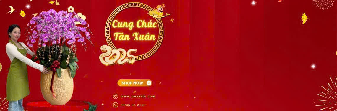 Banner Tết 2025 - Hoa Vily