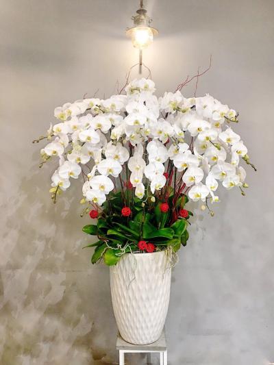 Những mẫu hoa cao cấp tại hoa tươi 360 father-day8