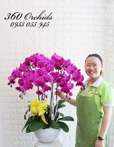 Cửa hàng hoa tươi Tây Ninh đẹp giá rẻ