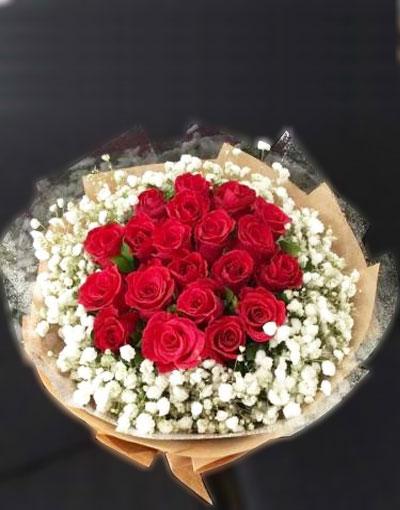 Hoa hồng mừng sức khỏe tuyệt đẹp Hoa hồng mừng sức khỏe tuyệt đẹp