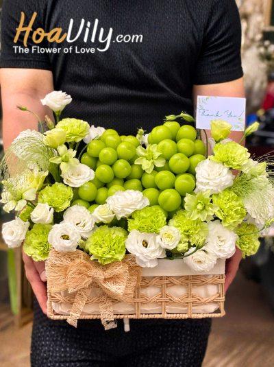GTCSN - Tỏa sáng rạng ngời