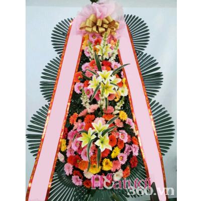 HOA KHAI TRƯƠNG HÀN QUỐC 16_HOATUOI360