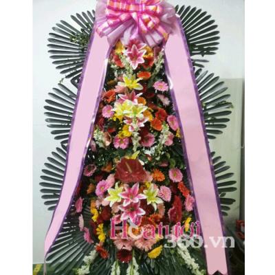 HOA KHAI TRƯƠNG HÀN QUỐC 17_HOATUOI360