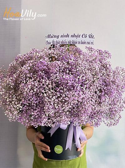 Hộp hoa baby tím -  Violet ngọt ngào