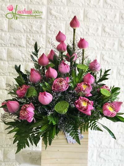 những mẫu hoa sen đẹp hoa-sen