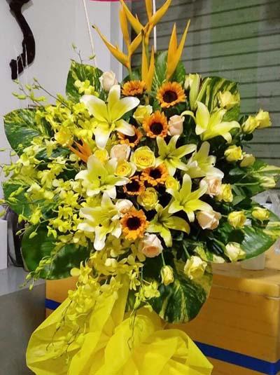 KỠhoa chúc mừng - Ngà y rực rỡ