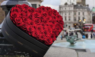 Hoa hồng trái tim: Hoa hồng trái tim tượng trưng cho tình yêu và sự lãng mạn. Với những đóa hoa hồng trái tim đẹp nhất, bạn có thể thể hiện tình cảm của mình với người thân yêu. Hãy xem hình ảnh để chiêm ngưỡng vẻ đẹp của những đóa hoa tuyệt vời này.