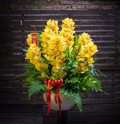 Thú vui chơi hoa địa lan vàng vào dịp Tết của người Việt