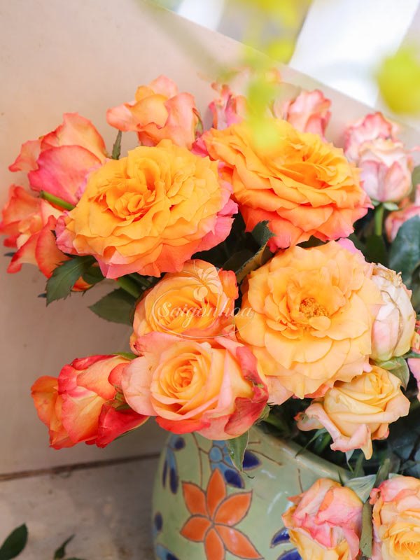Hoa hồng cam Free Spirit - Biểu tượng của sắc đẹp phóng khoáng