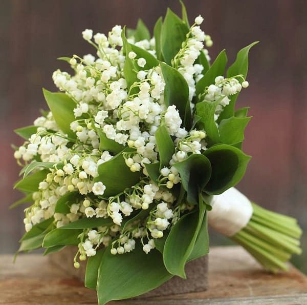 Hoa linh lan trắng là một lựa chọn đẹp và tinh tế cho hoa cầm tay cô dâu