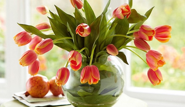 Những mẹo giúp hoa tulip cam tươi lâu