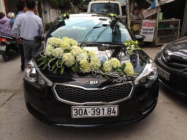 hoa cẩm tú, giúp tạo nên một chiếc xe hoa cưới sang trọng