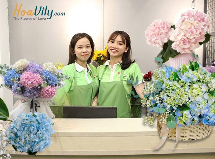 Hoa cẩm tú cầu cũng là loài hoa tượng trưng cho sự cô đơn