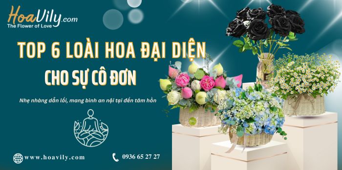 Hoa Vily - Dịch vụ hoa tươi tượng trưng cho sự cô đơn giúp bình an nội tại