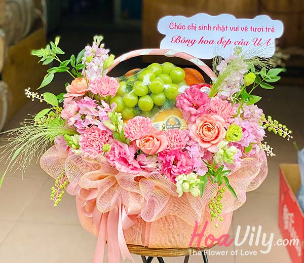 GTCSN - Vươn tới đỉnh cao