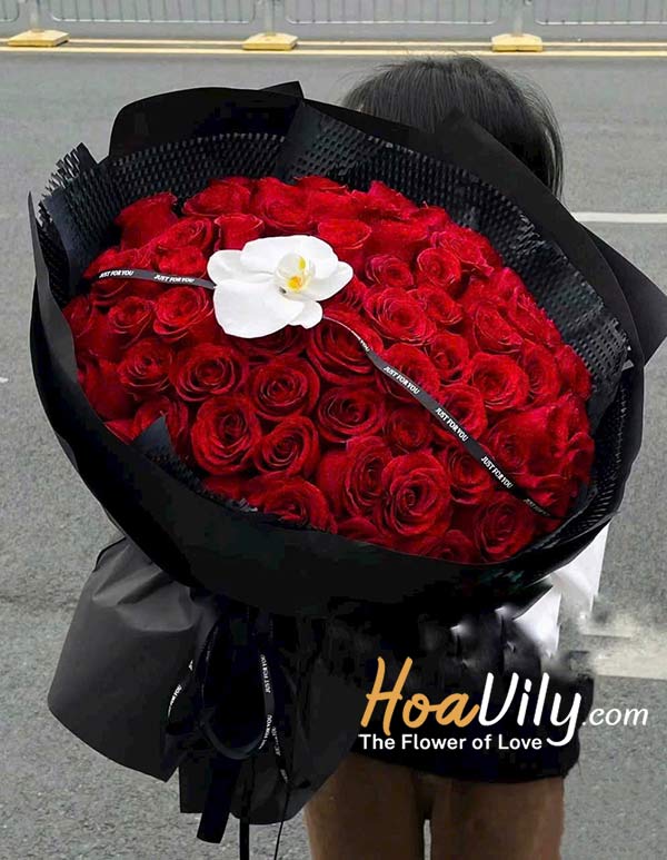 HSN - Chúc mừng thành công