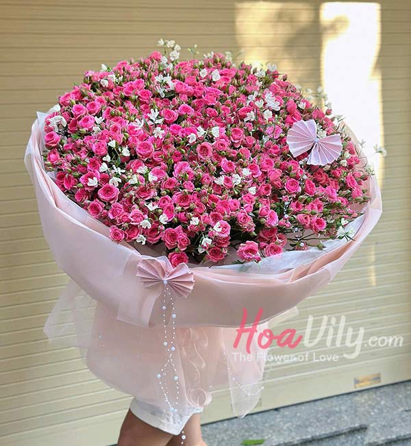 HSN - Ngập tràn hạnh phúc
