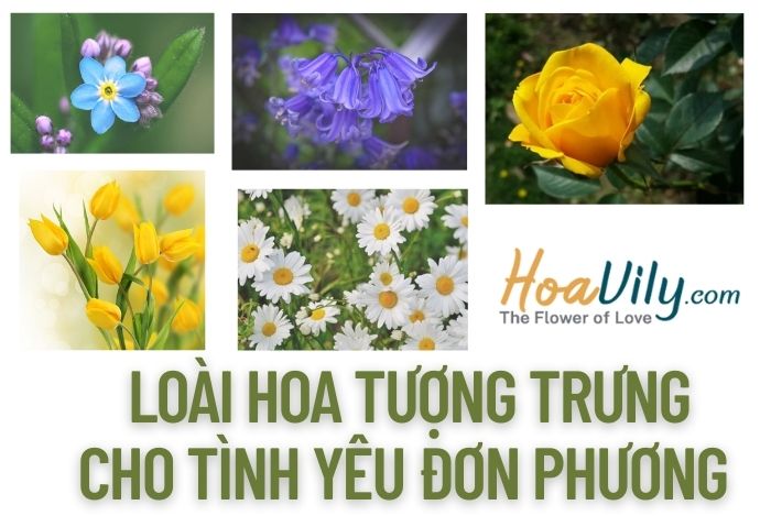 Loài hoa tượng trưng cho tình yêu đầy xuyến xao