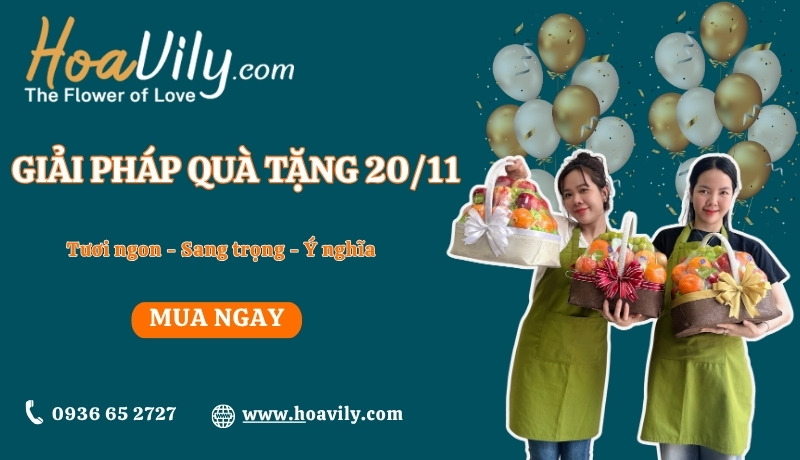 Shop HoaVily – Cửa hàng giỏ trái cây tặng 20/11 giá rẻ