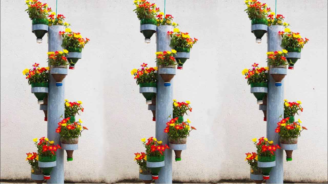 Vườn hoa mười giờ từ ống nhựa