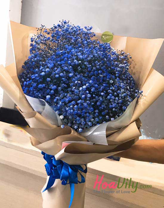 Bó hoa baby xanh blue - Hoavily