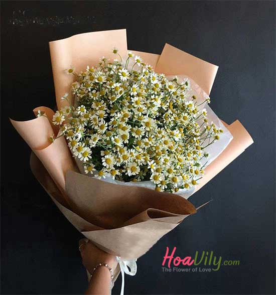 Bó hoa cúc Tana - Giản dị - Hoavily