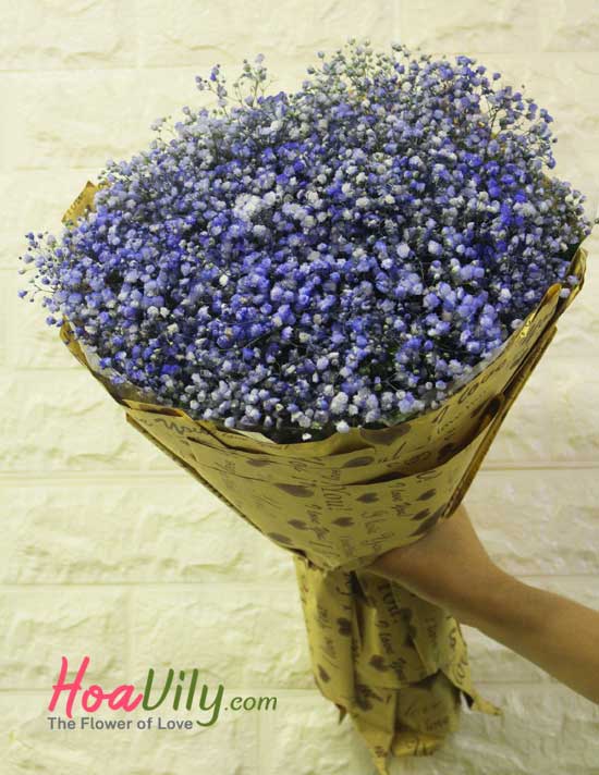 Bó hoa baby xanh - Niềm hy vọng của anh-hoavily