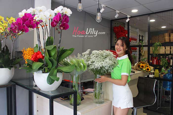 Shop hoa vily - Dịch vụ giao hoa siêu tốc