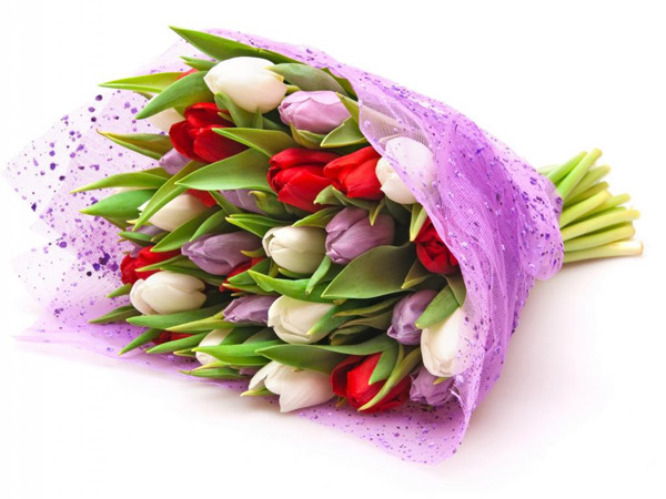 Bó hoa tulip các màu là món quà tình yêu quý giá