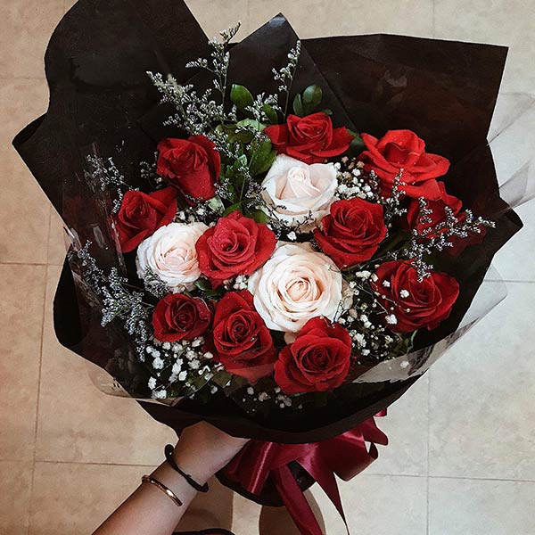 Bó hoa hồng xin lỗi