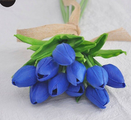 Hoa tulip xanh dương tặng sinh nhật