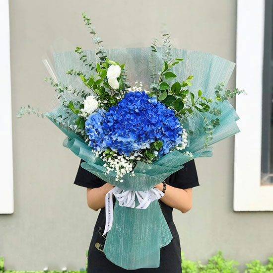 Bó hoa cẩm tú cầu xanh dương tặng sinh nhật