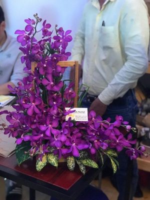 Chậu hoa chúc mừng ngày của Cha sang trọng