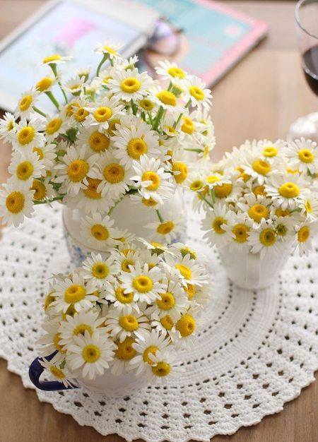 Mẹo giữ Cúc Tana được tươi lâu