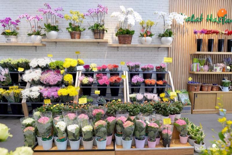 Dịch vụ của shop hoa Dalat Hasfarm đa dạng và phong phú