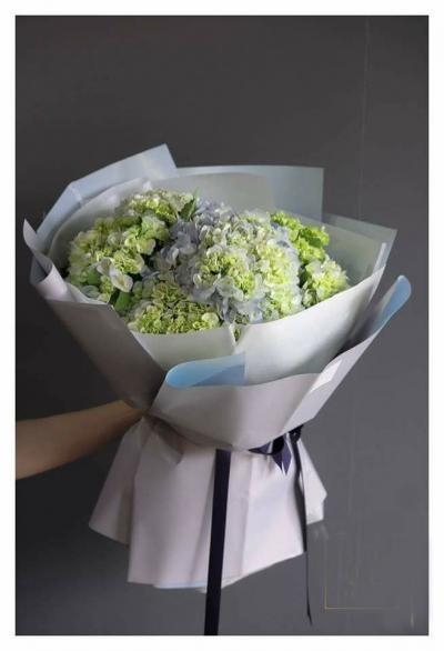 Bó hoa cẩm tú cầu thể hiện lòng biết ơn