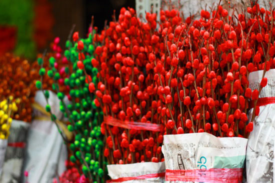 Giá của nụ tầm xuân ngày Tết