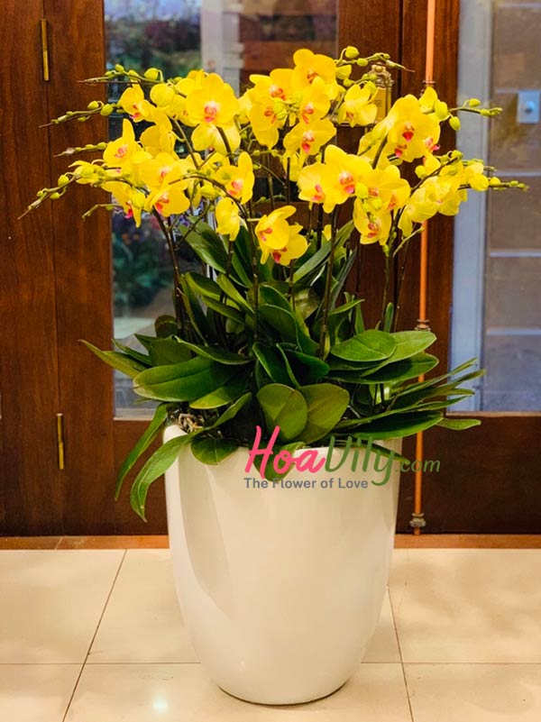 Mẫu giỏ hoa sinh nhật Mẹ đẹp nhất Shop hoa tươi đẹp tại Hà Nội giao hoa  nhanh trong 2h