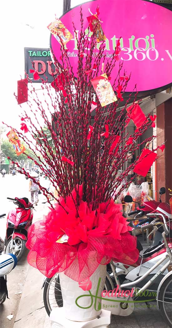 Nụ tầm xuân chơi tết giá rẻ bất ngờ