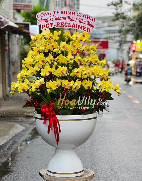 Hoa Vily - Địa chỉ bán Tết đẹp tại TP.HCM