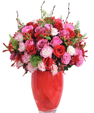 Hoa hồng mừng sức khỏe tượng trưng cho sự yêu thương mãnh liệt Hoa hồng mừng sức khỏe tượng trưng cho sự yêu thương mãnh liệt
