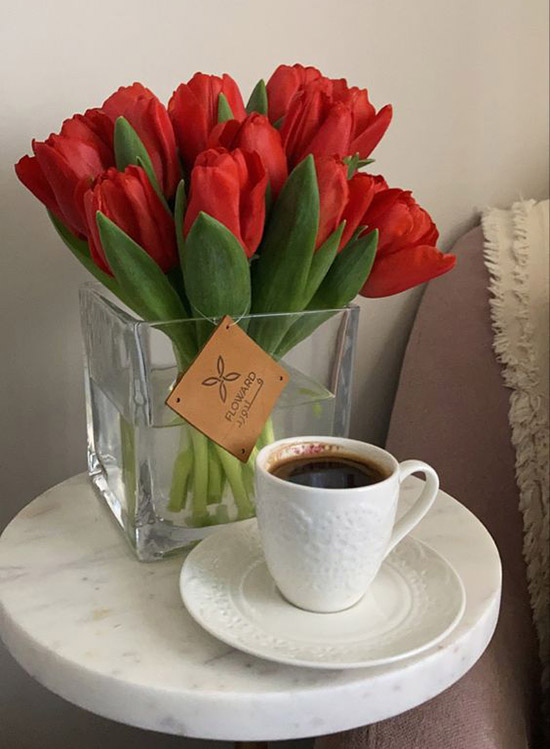 Cách bảo quản hoa Tulip đỏ