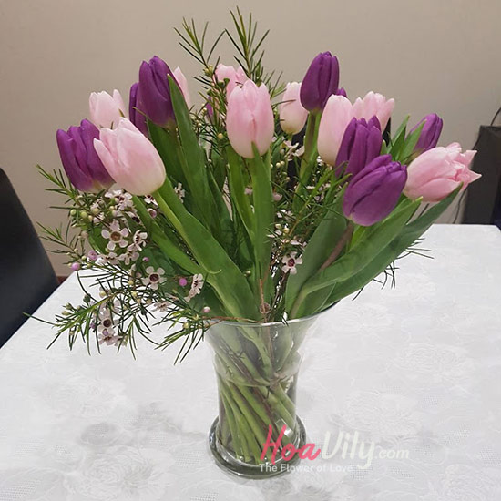 Công dụng của hoa Tulip tím