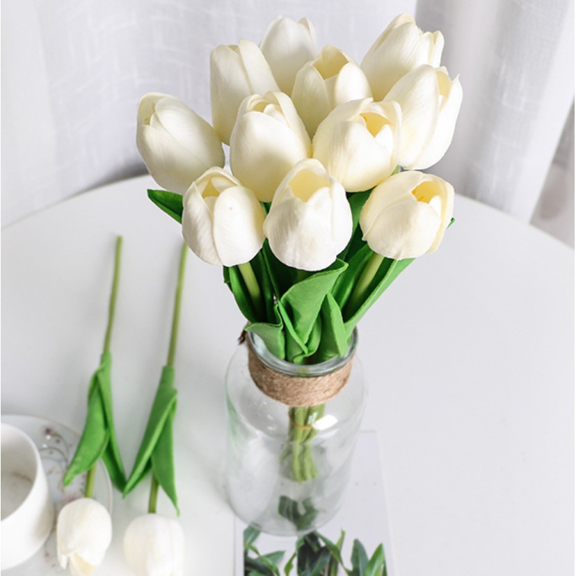 Công dụng của hoa Tulip trắng