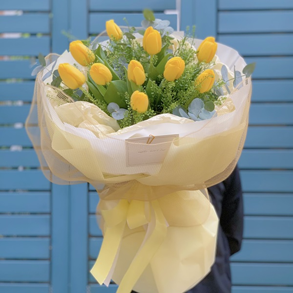 Địa chỉ bán hoa tulip vàng đẹp, giá rẻ