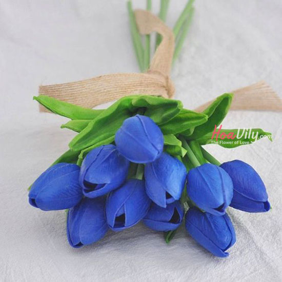 Hoa Tulip xanh đẹp nhất