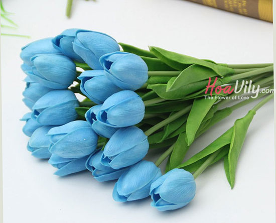 Ý nghĩa hoa Tulip xanh