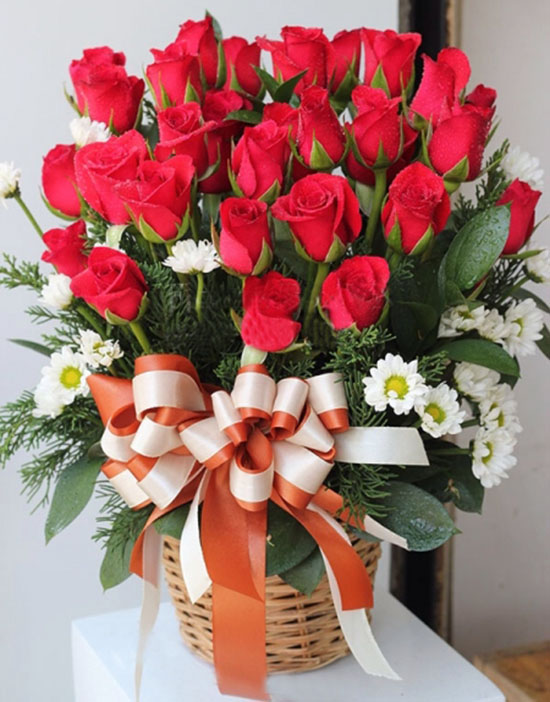 3 loại hoa đẹp và ý nghĩa tặng sinh nhật mẹ  Chuyên mục tin tức  Dalat  Hasfarm 