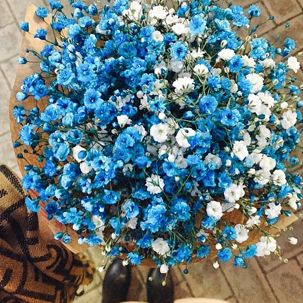 Bó hoa baby xanh thể hiện cho sự trung thực và tôn trọng